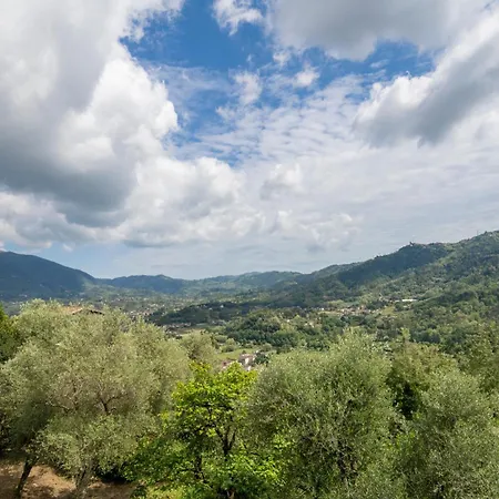 La Casa Dei Limoni, Camaiore, Pet Friendly, Wifi Willa