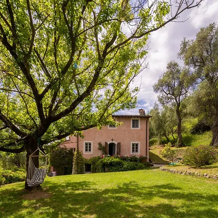 La Casa Dei Limoni, Camaiore, Pet Friendly, Wifi Willa