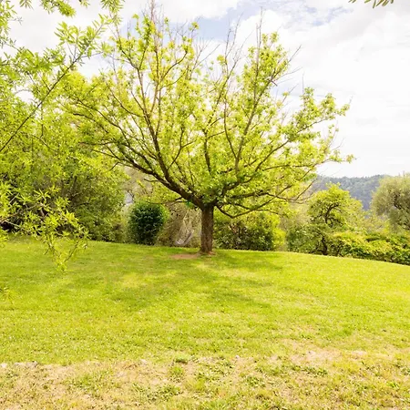 Willa La Casa Dei Limoni, Camaiore, Pet Friendly, Wifi *