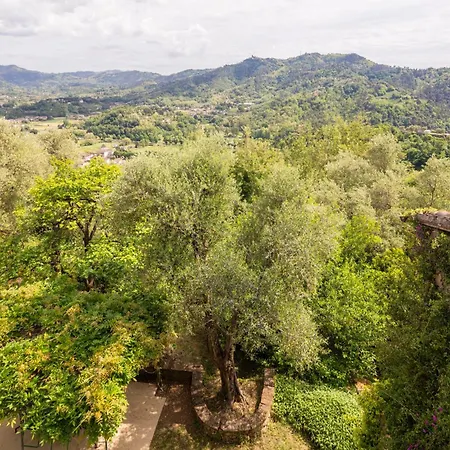 La Casa Dei Limoni, Camaiore, Pet Friendly, Wifi *
