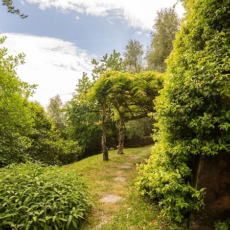 La Casa Dei Limoni, Camaiore, Pet Friendly, Wifi